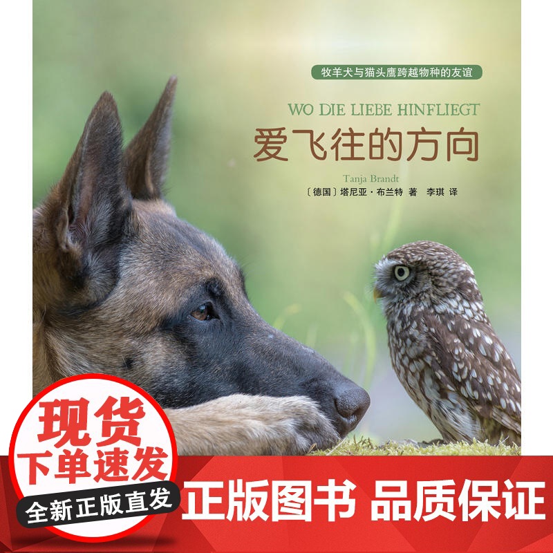 爱飞往的方向高清大图