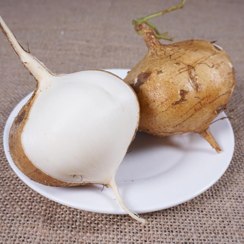 广西凉薯现挖新鲜蔬菜水果农家自种白地瓜豆薯番薯9斤参数