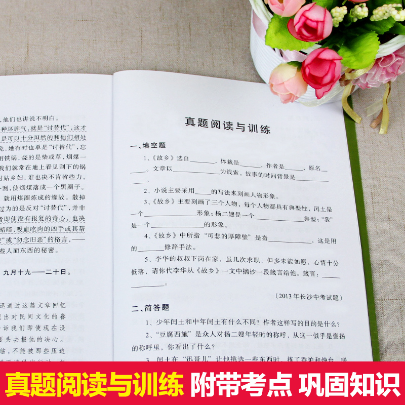 故乡 [正版]故乡鲁迅白话文小说全集少年闰土鲁迅的书散文集杂文集语文无障碍阅读儿童文学青少年版必读小学生三四五六年级课外高清大图