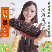 月亮岛东北黑玉米5斤10根黑龙江甜糯玉米棒带叶黑玉米棒2000g真空装糯玉米鲜食玉米口感嫩糯微甜整玉米棒东北黏玉米