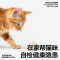 pidan猫砂隐血测试豆腐砂2.4kg*4包原味猫砂去味遮臭低尘尿血自测