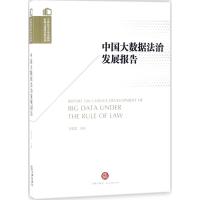 中国大数据法治发展报告 李爱君 主编；李爱君 丛书主编 社科 文轩网
