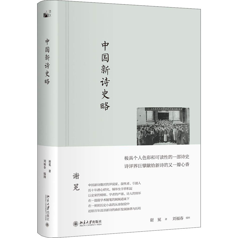 醉染图书中国新诗史略9787301284056高清大图