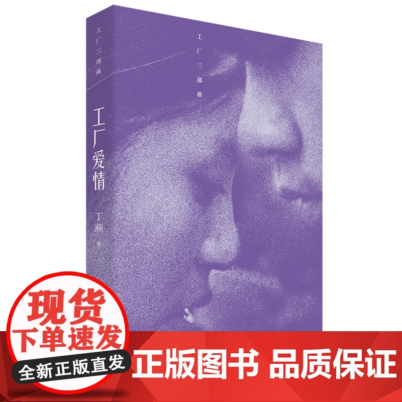 工厂爱情故事 男女爱情 丁燕 著 中国工人出版社 现代当代长篇小说故事书籍高清大图