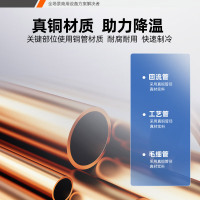 星星(XINGX)930升冷藏玻璃门冰箱商用大容量保鲜柜饭店餐饮麻辣烫蔬菜饮料水果展示柜BC-1000TA