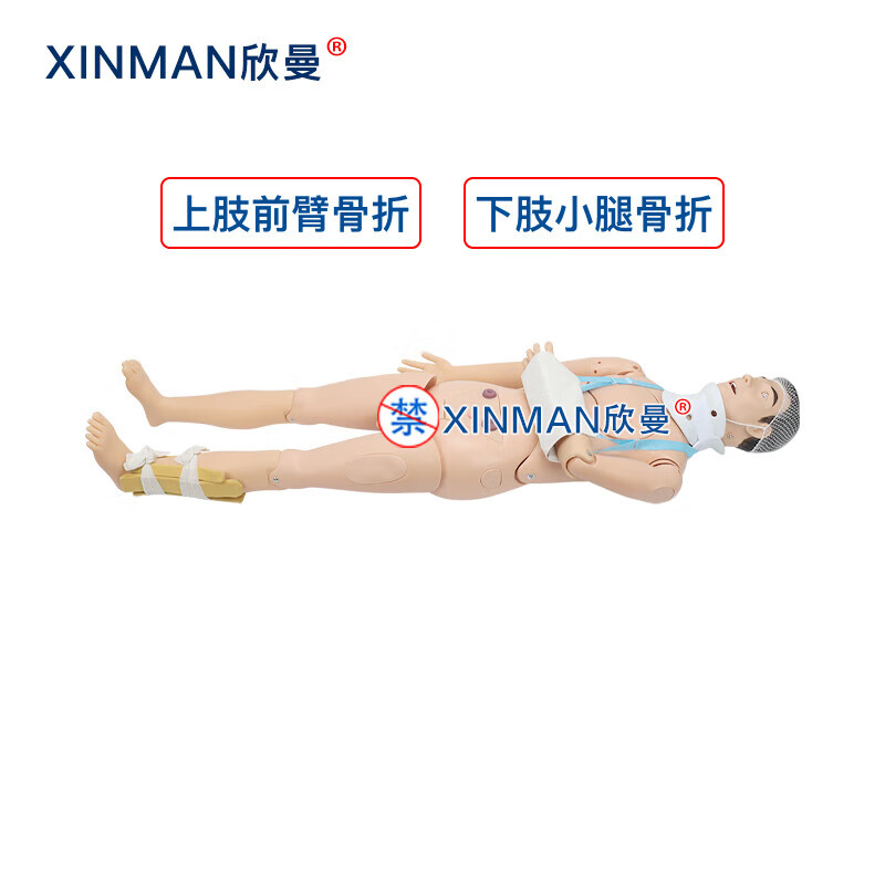 欣曼科教 四肢骨折固定训练模拟人 上肢前臂骨折 下肢小腿骨折XM-GZ800高清大图