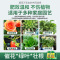 [补贴10%]营养液植物通用型花肥发财树富贵竹绿萝水培盆栽家用花卉绿植肥料