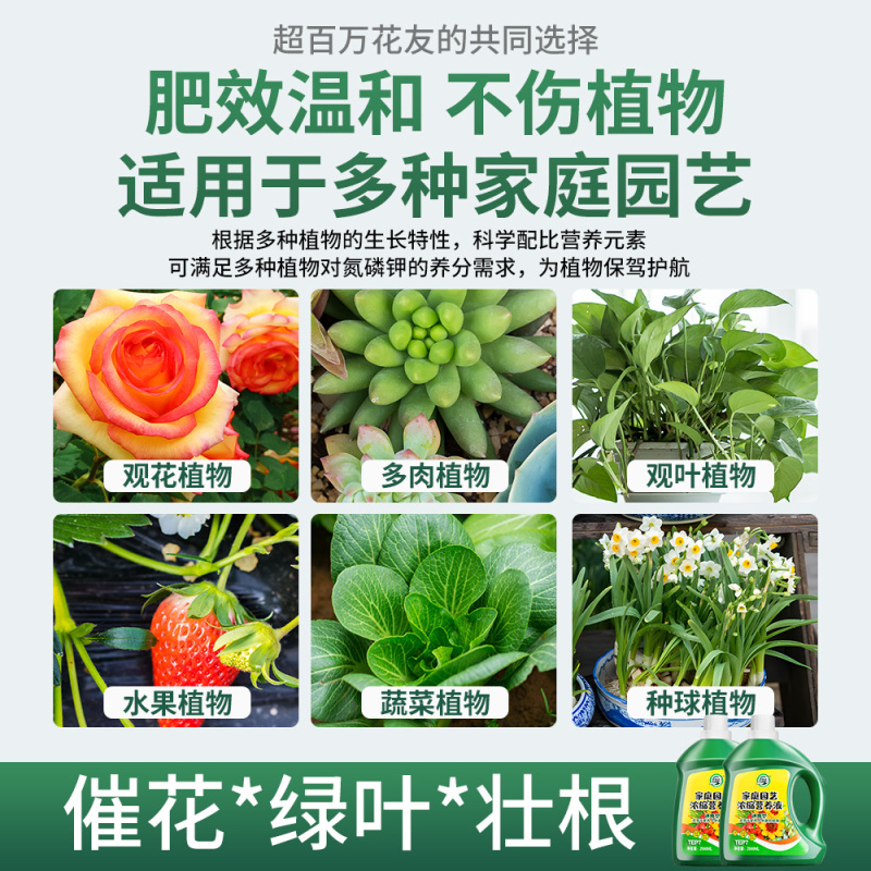 [补贴10%]营养液植物通用型花肥发财树富贵竹绿萝水培盆栽家用花卉绿植肥料