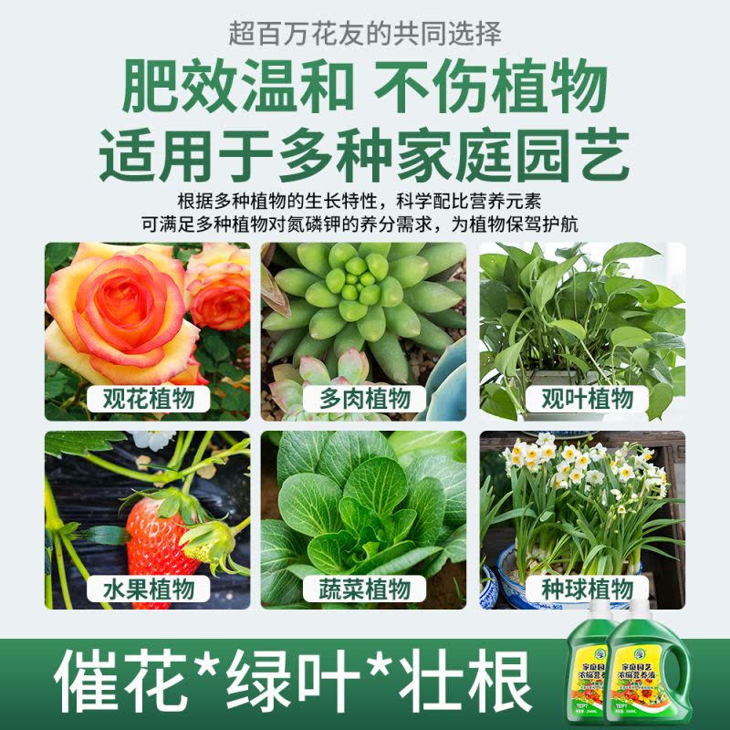 [补贴10%]营养液植物通用型花肥发财树富贵竹绿萝水培盆栽家用花卉绿植肥料图片