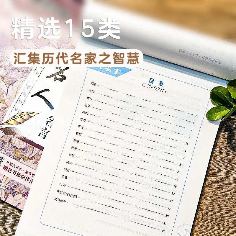 楷书字帖(名人名言经典版)+硬笔书法作品纸 [正版]字帖楷书临摹练字大学生男生霸气女生字体漂亮清秀文艺初学者高中生练字帖高清大图