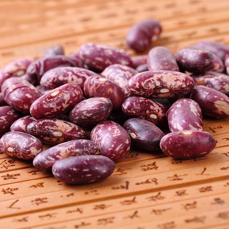 南农食品精选花芸豆500g五谷杂粮