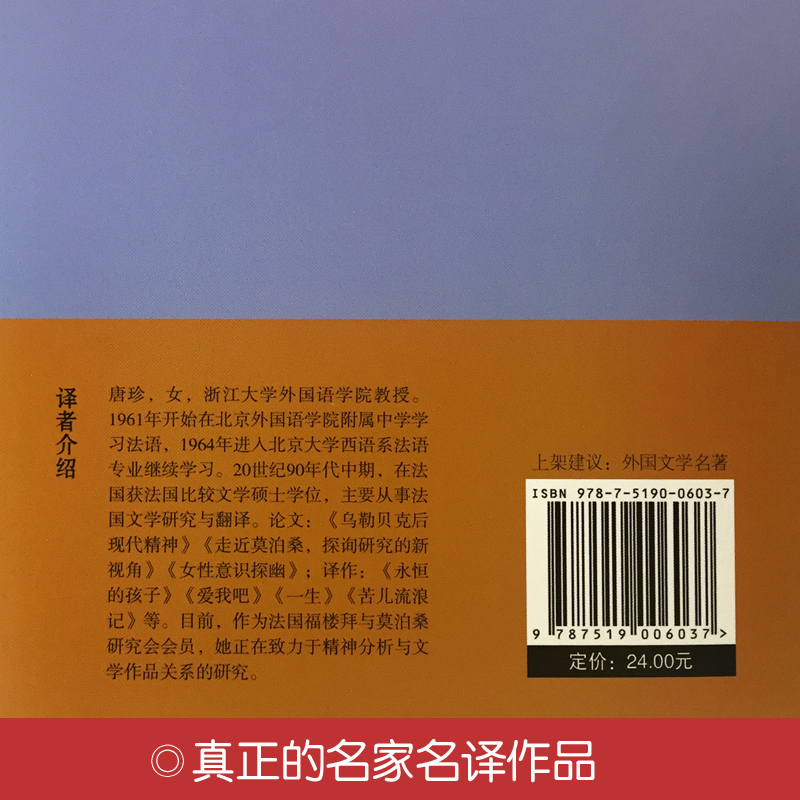 醉染图书苦儿流浪记(精)9787519006037高清大图