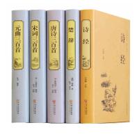 唐诗宋词元曲诗经楚辞300三百首中国诗词大会文学鉴赏大全集书籍 唐诗宋词元曲诗经楚辞