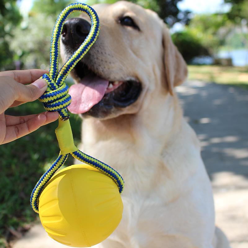 黄色-小号穿线大摆球 训狗犬玩具马犬拉环咬环耐咬训练球逗狗互动弹力球金毛中大型犬