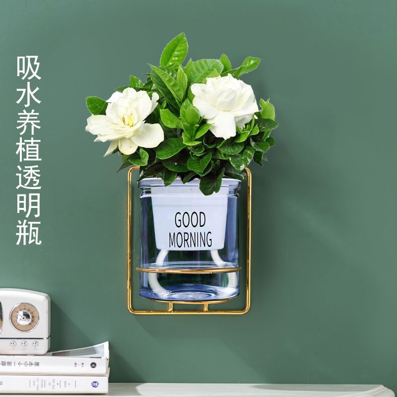 免钉壁挂水培植物迷你小花盆栽创意挂墙玻璃花瓶 陶瓷小花盆两件组合
