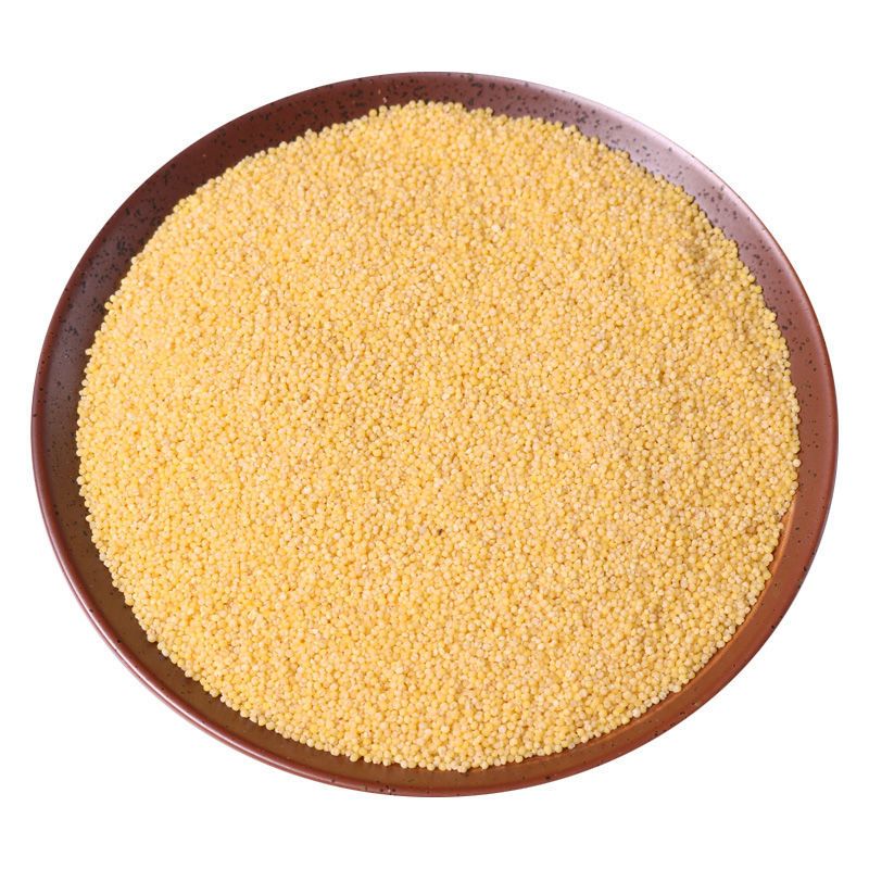 赤峰金苗小米新米5斤农家养胃黄小米月子米五谷杂粮宝宝米500g袋高