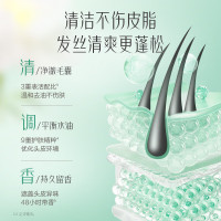 阿道夫 控油蓬松洗发香露800g