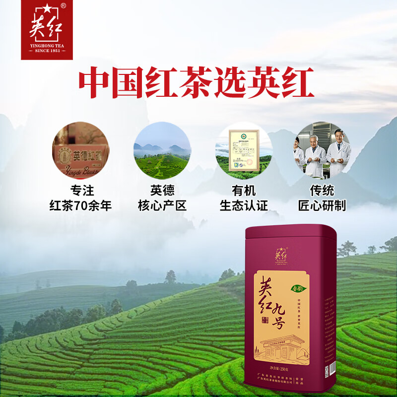 英红牌红茶英红九号浓香型有机茶2025年新茶春茶罐装250g高清大图