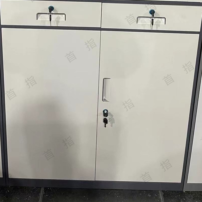 首指(SZ)文件柜/中二斗器械柜/SZ-SH45高清大图