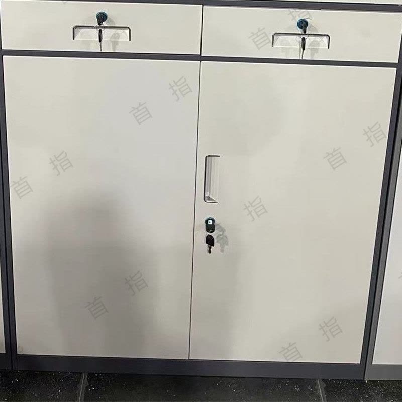 首指(SZ)文件柜/中二斗器械柜/SZ-SH45图片