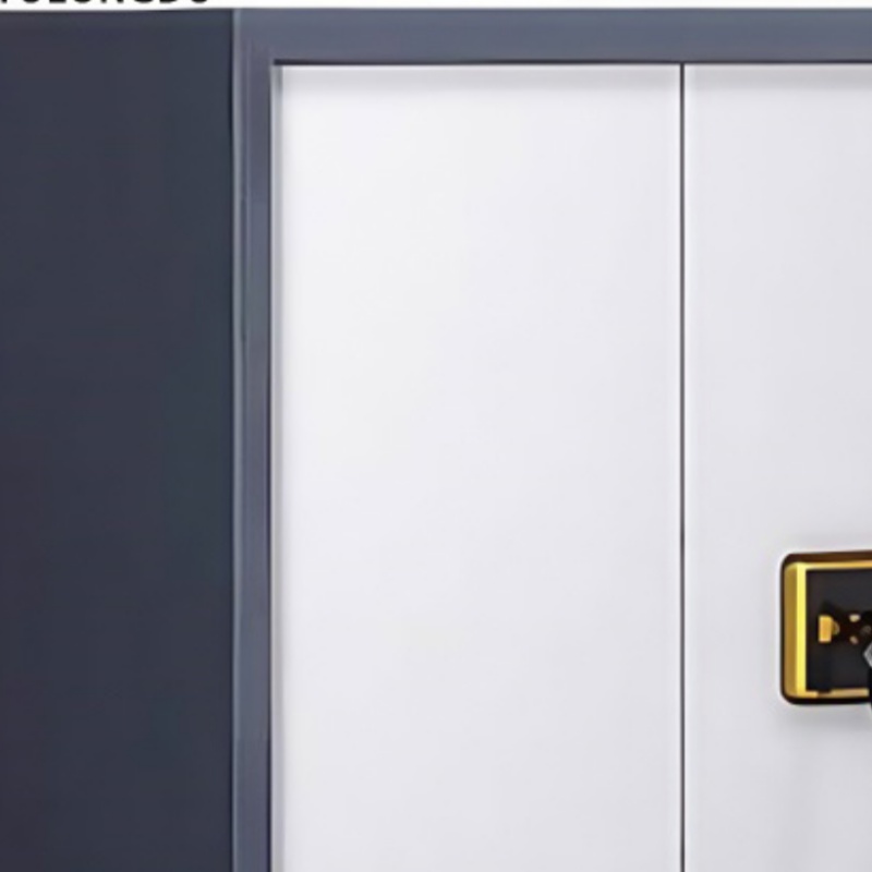 豫龙都电子保密柜高清大图