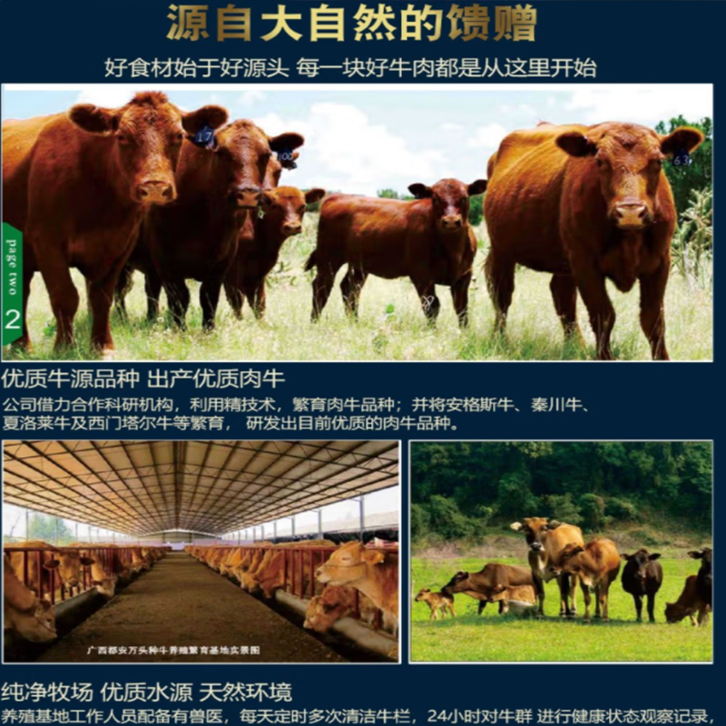 亦佰味 牛肉礼盒系列 吉品/尚品/金品/御品牛肉礼盒 弹嫩紧实 鲜嫩多汁 纹理分明 高品质之选 单盒价高清大图