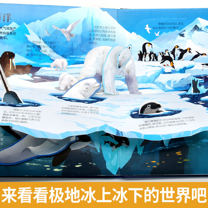 海洋立体翻翻书 [正版]海洋立体翻翻书 儿童3d书籍揭秘系列3-6-8岁绘本故事海底世界科普百科全书幼儿园中大班情景体验高清大图