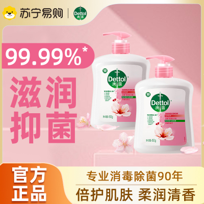 滴露健康抑菌洗手液滋润倍护450g*2