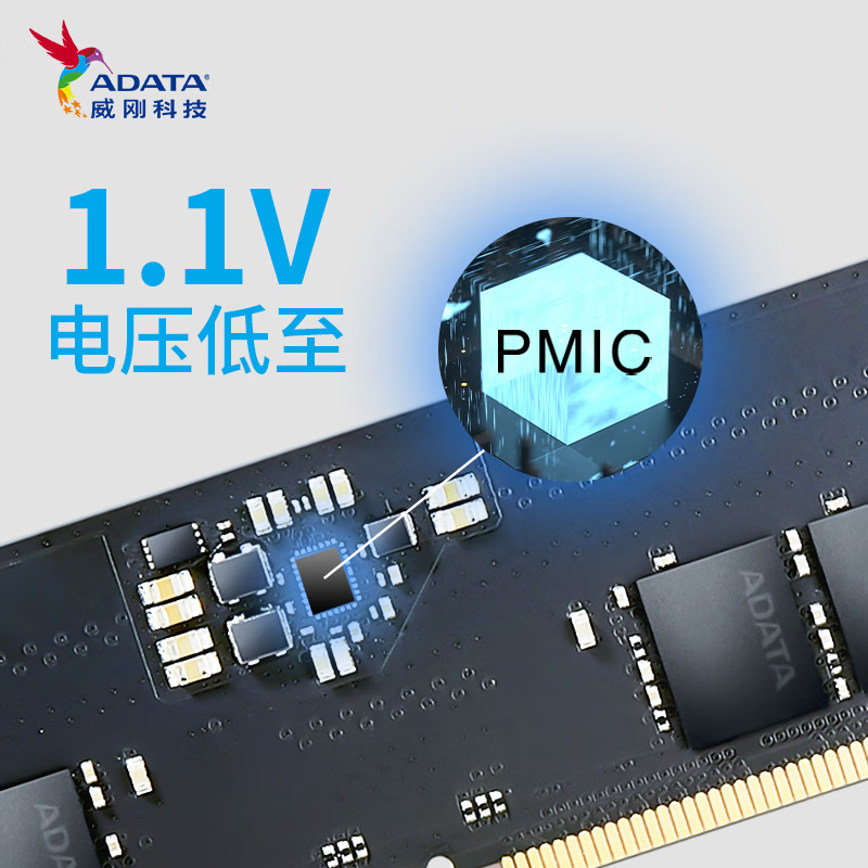 威刚(ADATA)64GB(32GBX2)套装 DDR5 5600 台式机内存条 万紫千红