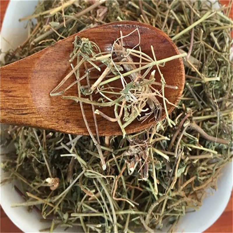 甄选地锦草100克别名斑花盖地血见愁红丝草乃汁浆草9260高清大图