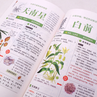 [醉染正版]本草纲目 正版李时珍 全彩图解白话文典藏版 中医基础理论中医书籍大全经典药方医药大全养生中草药全图鉴倪海厦