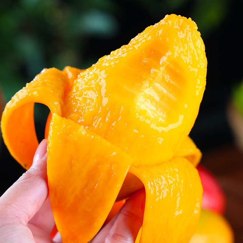 贵妃芒果当季新鲜水果整箱树上熟大金煌