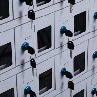 洛苏通盛手机存放柜6门常规款