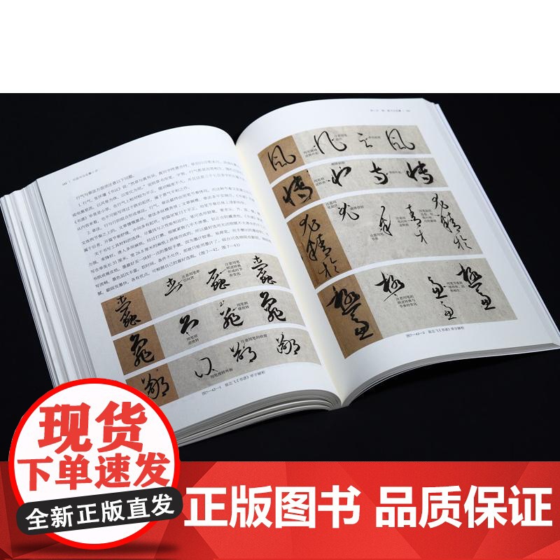 [随书附赠全套临摹视频]中国书法临摹十讲 临摹大咖翁志飞35年书法实临经验秘笈上海书画出版社书法技法史解析历代碑帖临摹精高清大图
