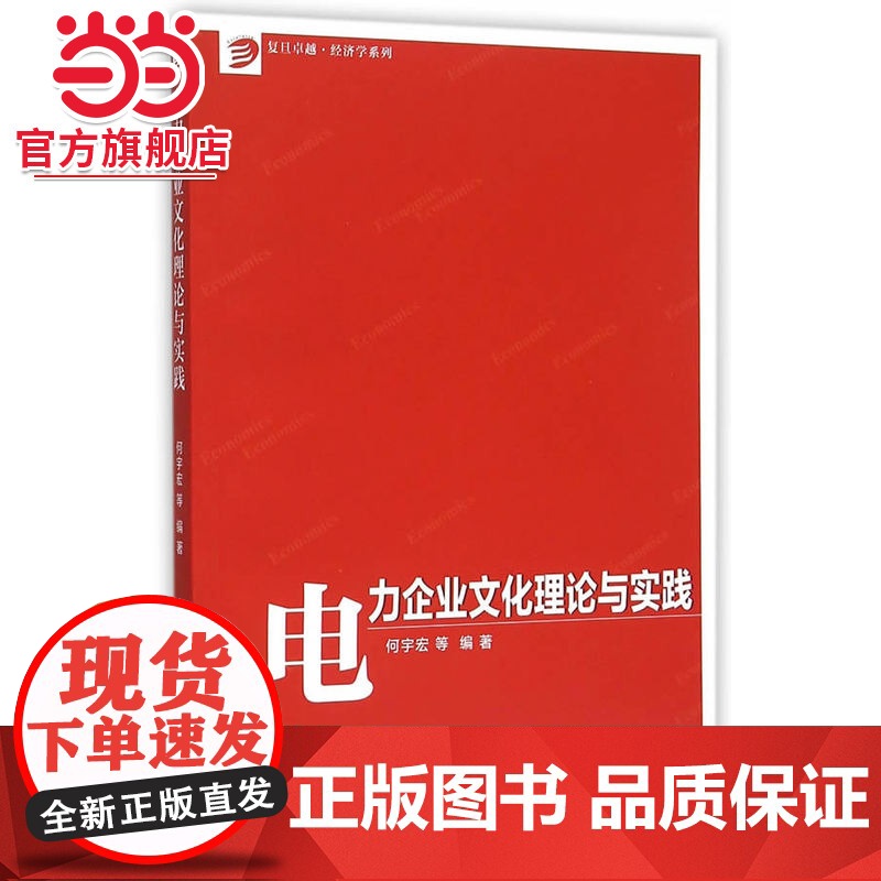 卓越·经济学系列:电力企业文化理论与实践高清大图