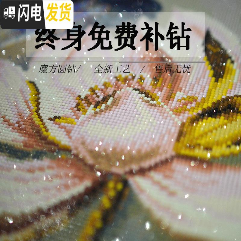 三维工匠钻石画2019新款客厅满钻点砖玄关竖版欧式手工自己贴钻十 [50*80厘米]满钻全贴[钻量多配30、免费十字绣高清大图
