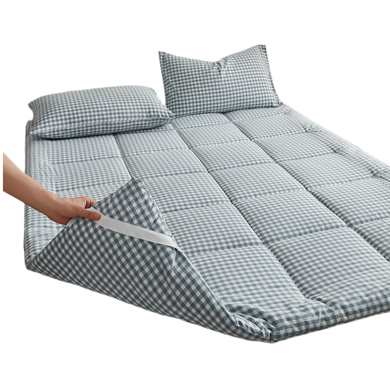 蕃蒂褥子5斤张高清大图