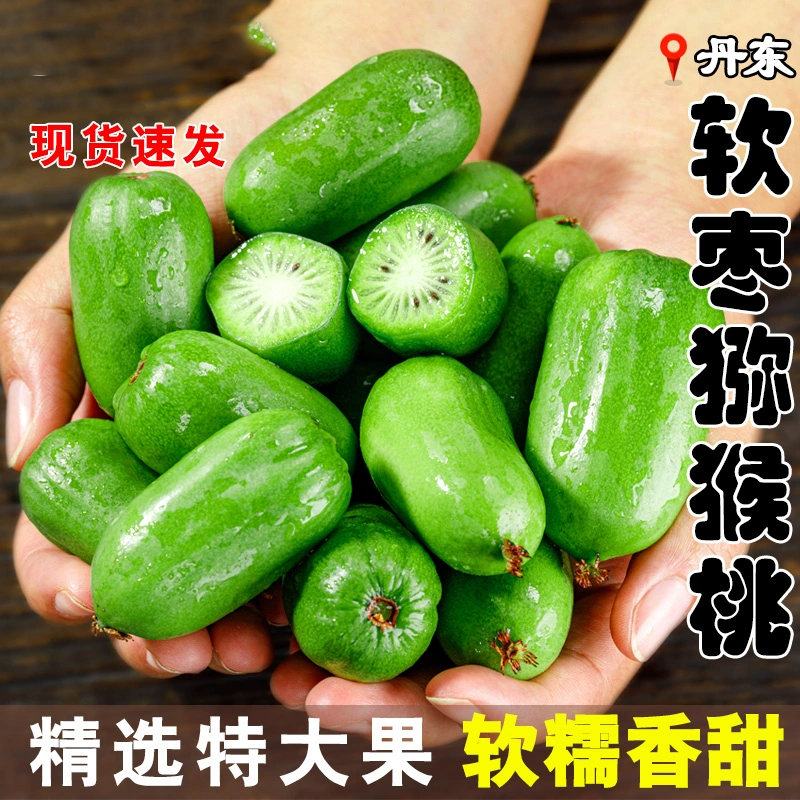 顺丰快递[熊猫鸟]新鲜软枣猕猴桃 净重5斤 单果10-15g高清大图