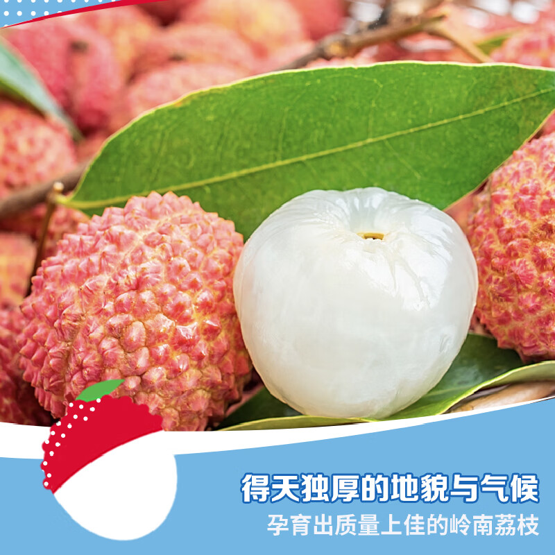 王老吉海盐荔枝果汁饮料310ml*12罐高清大图