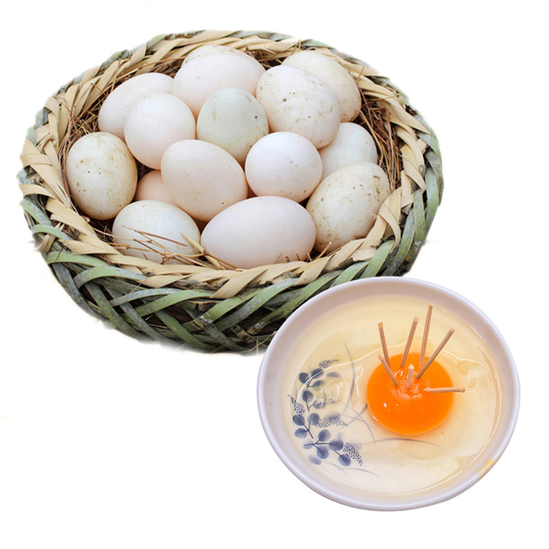 生海鸭蛋20枚新鲜农家放养红心麻鸭土鸭蛋生鲜