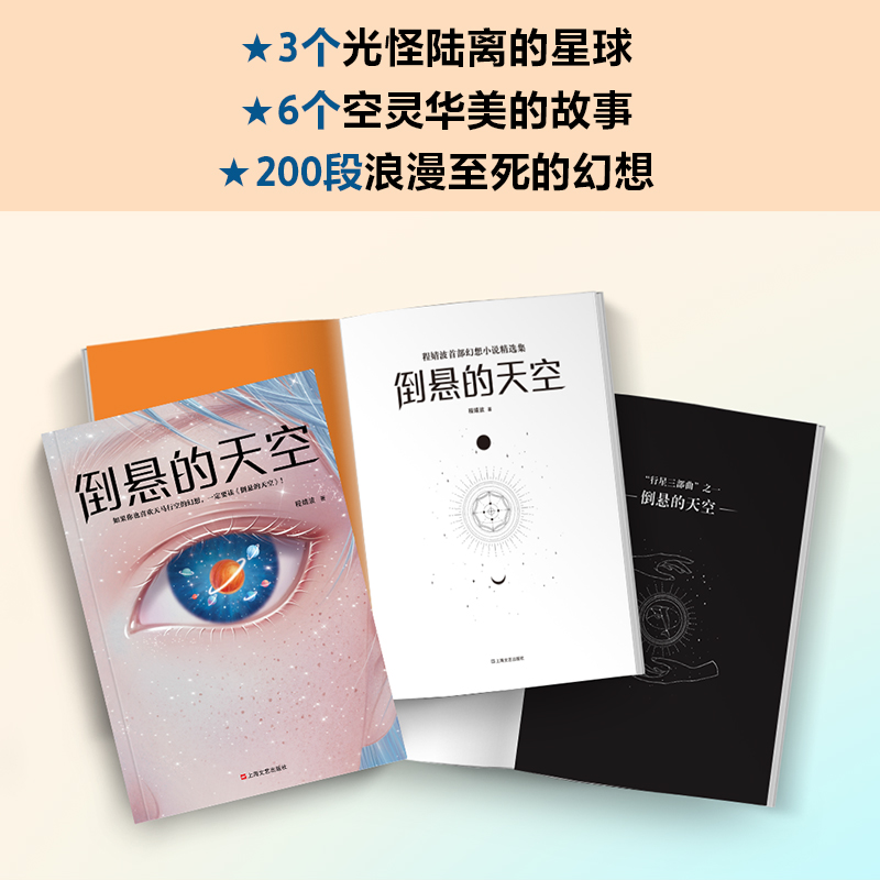 醉染图书倒悬的天空9787532172252高清大图