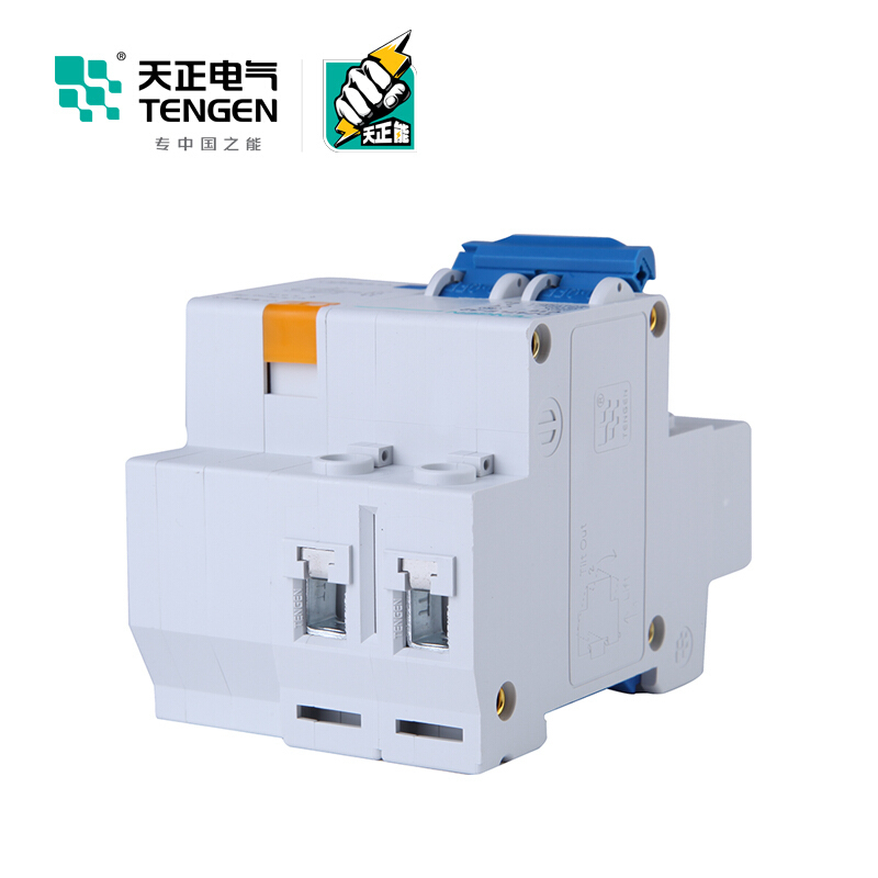 天正电气 DZ47LE-32 2P 30mA 热磁式 230VAC 01070020382 微型漏电保护断路器