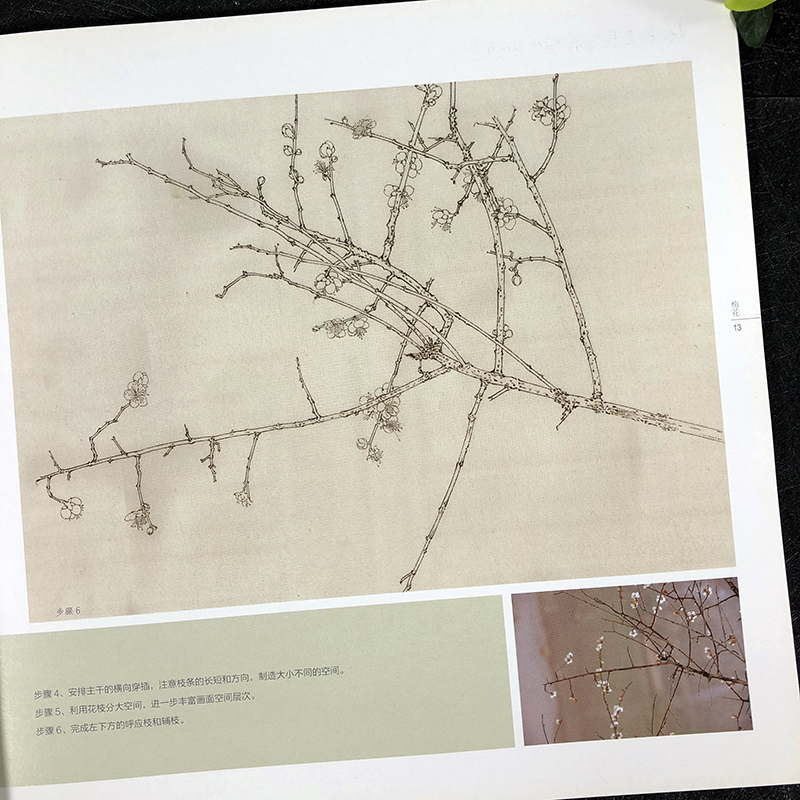 [醉染正版]梅花 白描技法精解 中国画花草植物梅花工笔画线描写生白描绘画底稿勾线画谱 专业美术白描绘画技法初学者 写生入高清大图