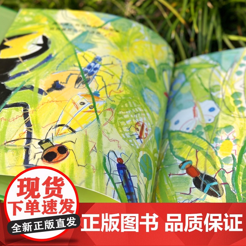 点点虫 麦田精选图画书精装图画故事书阿部弘士作品周保春译本少年儿童出版社低幼亲子睡前绘本昆虫科普正版童书籍高清大图