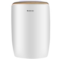 格力（GREE)除湿机 DH20EH 家用除湿机 除湿器抽湿器干衣机静音除湿量大稳定
