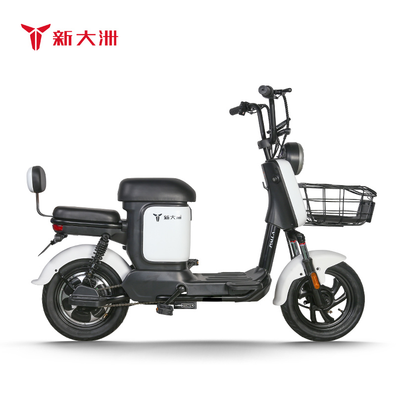 新大洲电动车 电瓶车48V 男女士成人外卖通用 白色 TDT39Z