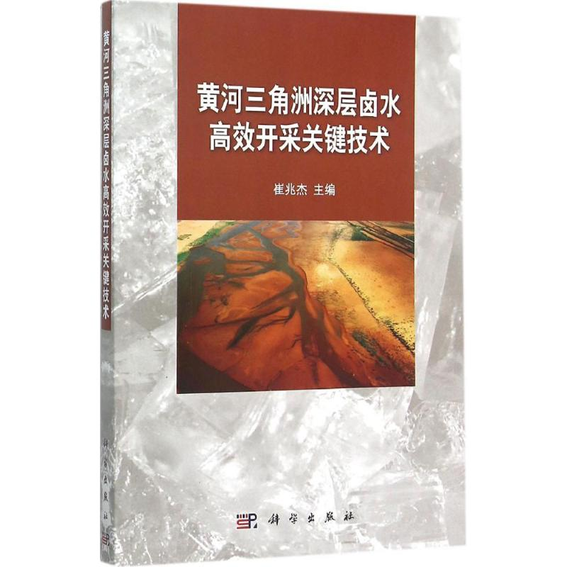 醉染图书黄河三角洲深层卤水高效开采关键技术9787030460400高清大图