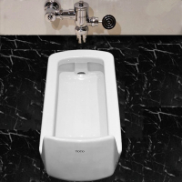 东陶(TOTO)蹲便器CW7BCW8RBDC603VLFR冲洗阀蹲坑带水箱蹲厕工程大便器