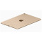 苹果（Apple）ipad Pro 平板电脑 全新未激活 全网通4G 超薄 指纹解锁 10.5寸 金色 4G+512GB
