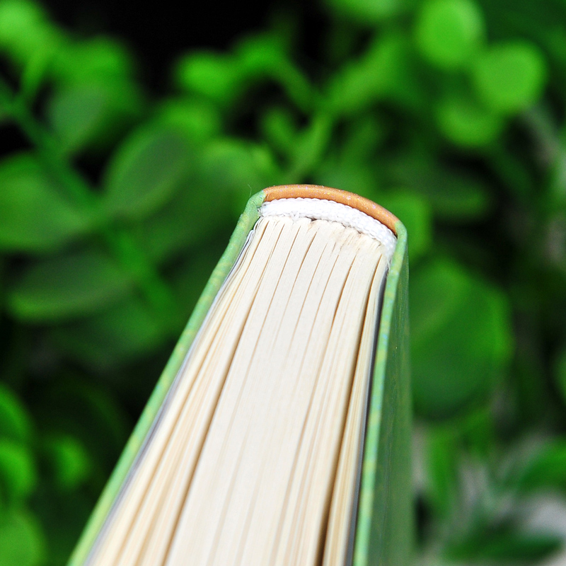 一九八四 完整版 [正版] 精装版 1984书 原版 中文版无删减完整版 一九八四 乔治 奥威尔著1984书 世界文高清大图